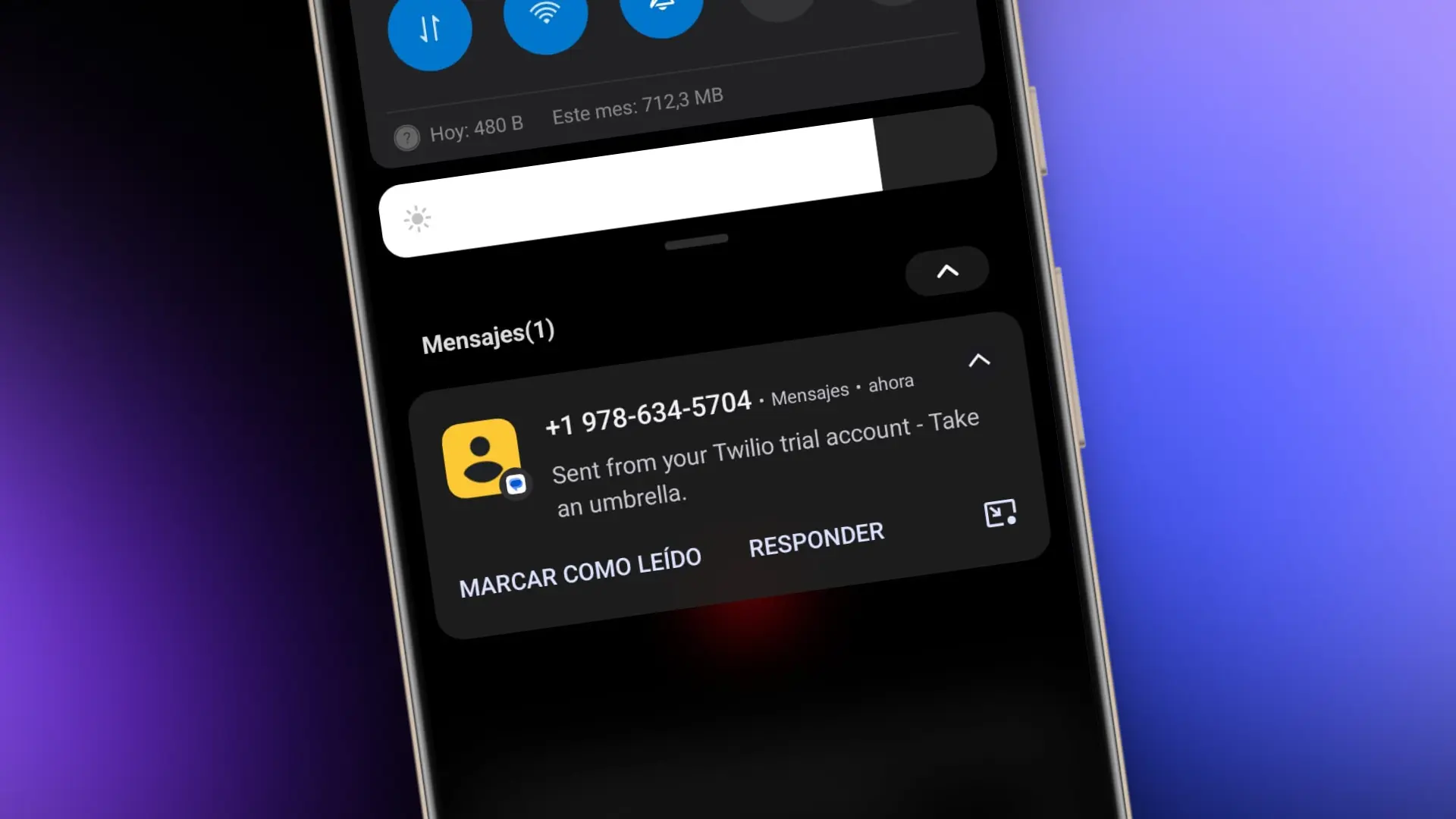 Captura de pantalla del proyecto Alerta de lluvia